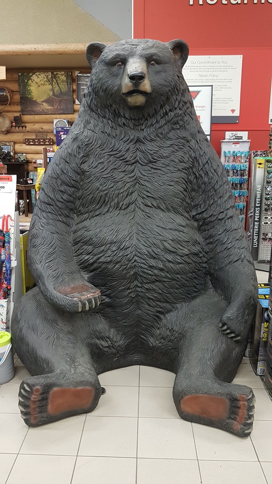 Canadian Tire | 45 Dufferin St, Perth, ON K7H 3A5, Canada | Phone: (613) 267-3412