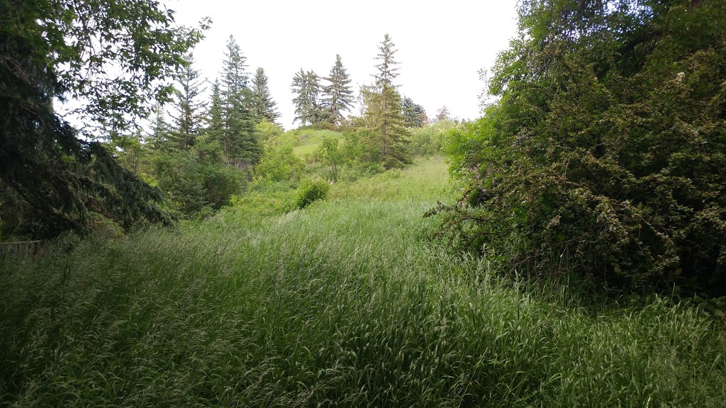 Britannia Off-leash Area | 4403 10 St SW, Calgary, AB T2S 1J4, Canada