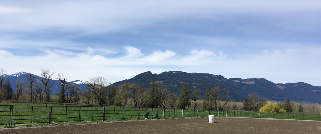 Kemp Equine Training | 49979 Camp River Rd, Chilliwack, BC V2P 6H4, Canada | Phone: (778) 933-2727
