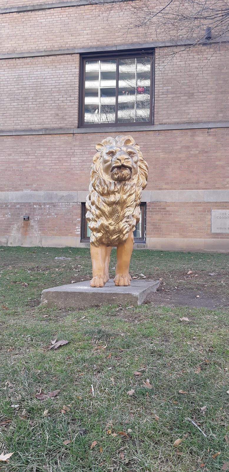 Fred Victor Community Garden | 151 Shuter St #97, Toronto, ON M5A 2R6, Canada | Phone: (416) 364-8228