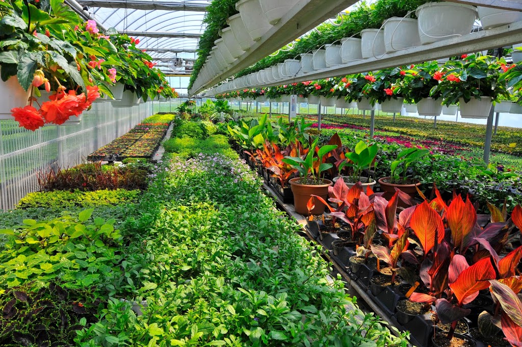 Regal Florist and Garden Centre | 1616 Niagara Stone Rd, Virgil, ON L0S 1T0, Canada | Phone: (905) 468-2181