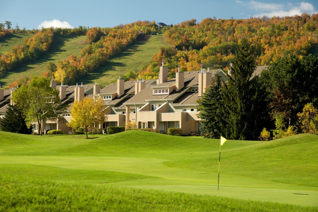 Wintergreen - Resort Homes by Blue Mountain Resort | 107 Wintergreen Pl, The Blue Mountains, ON L9Y 0P8, Canada | Phone: (833) 583-2583