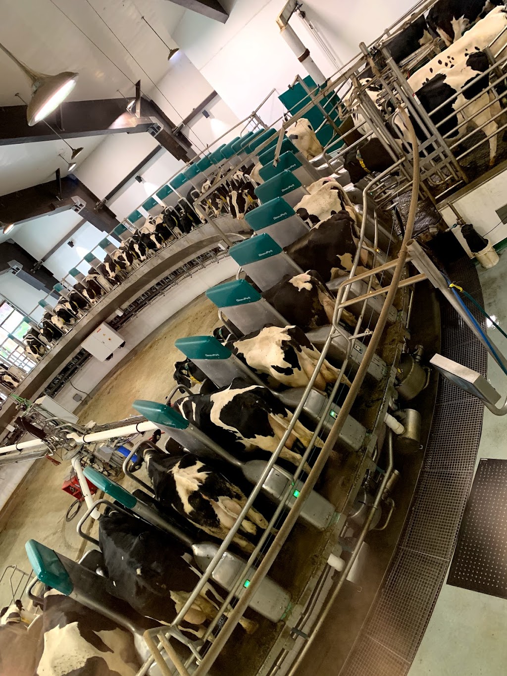 Pacific Dairy Centre Ltd | 8558 Chilliwack Mountain Rd, Chilliwack, BC V2R 3W8, Canada | Phone: (604) 852-9020