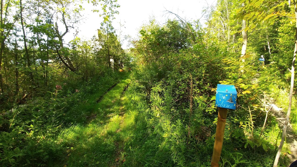 Oak Ridges Lions Park | 80 Red Cardinal Trail, Richmond Hill, ON L4E 4B8, Canada | Phone: (905) 771-8800