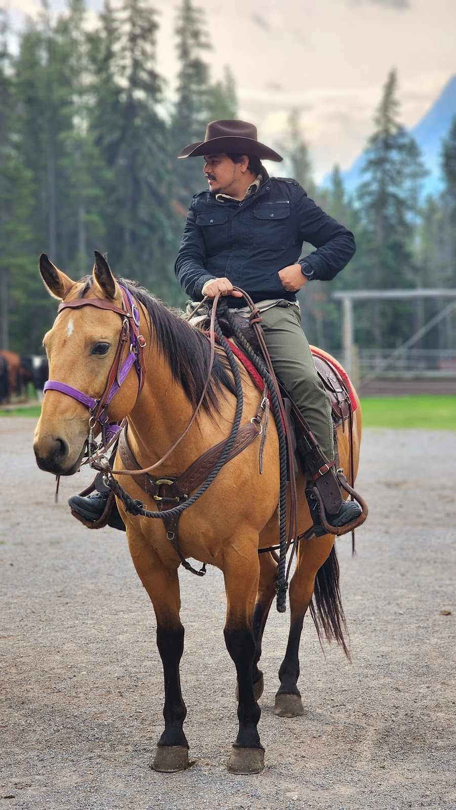 McKenzies Trails West | David Thompson Hwy, Cline River, AB T0M 2H0, Canada | Phone: (403) 721-7433