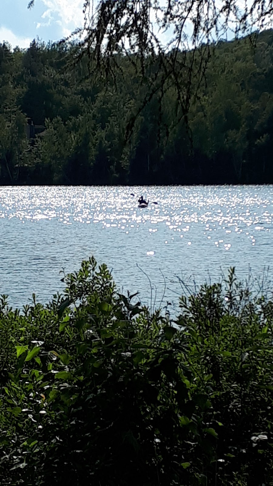 Auberge Lac Tomas | 200 Chemin du Golf, Saint-Didace, QC J0K 2G0, Canada