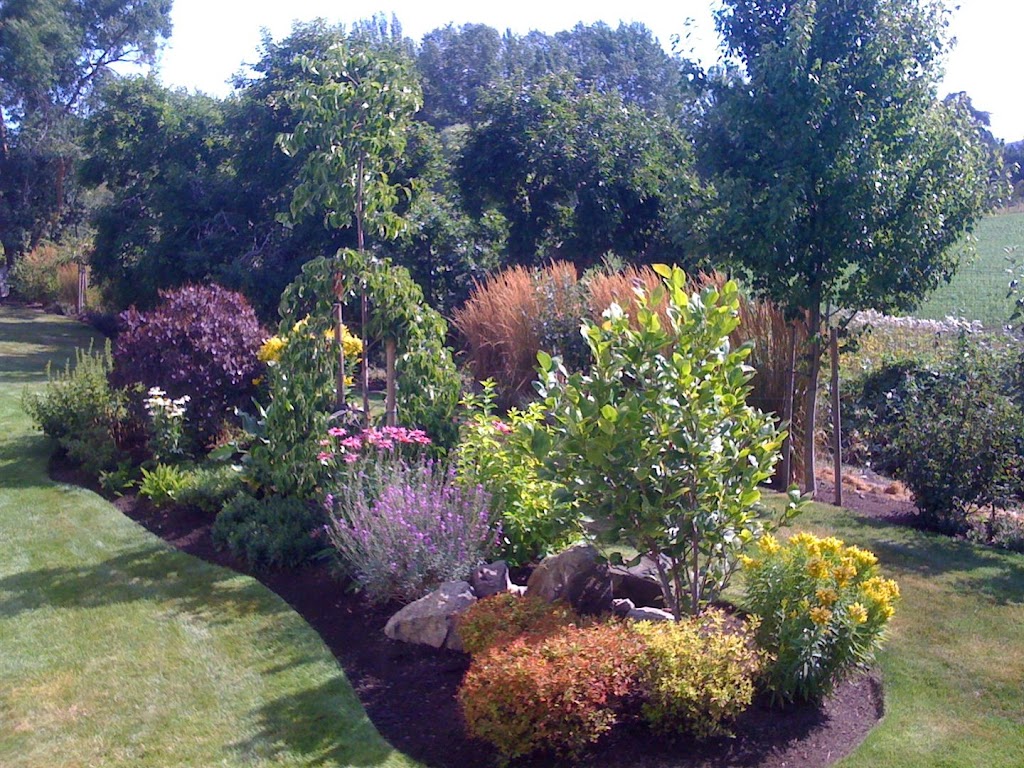 NLS | 860 Cuaulta Crescent, Victoria, BC V9C 3G5, Canada | Phone: (250) 220-6274
