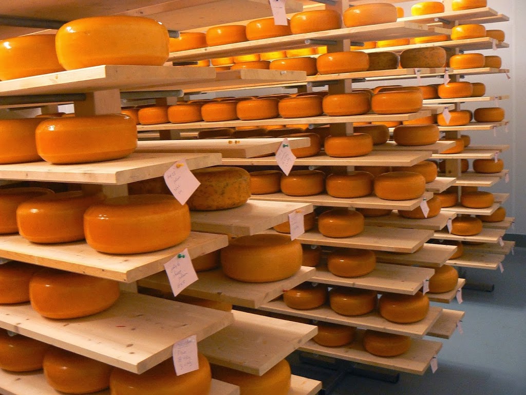 Blyth Farm Cheese | 82521 Allboro Line, Blyth, ON N0M 1H0, Canada | Phone: (226) 523-5884