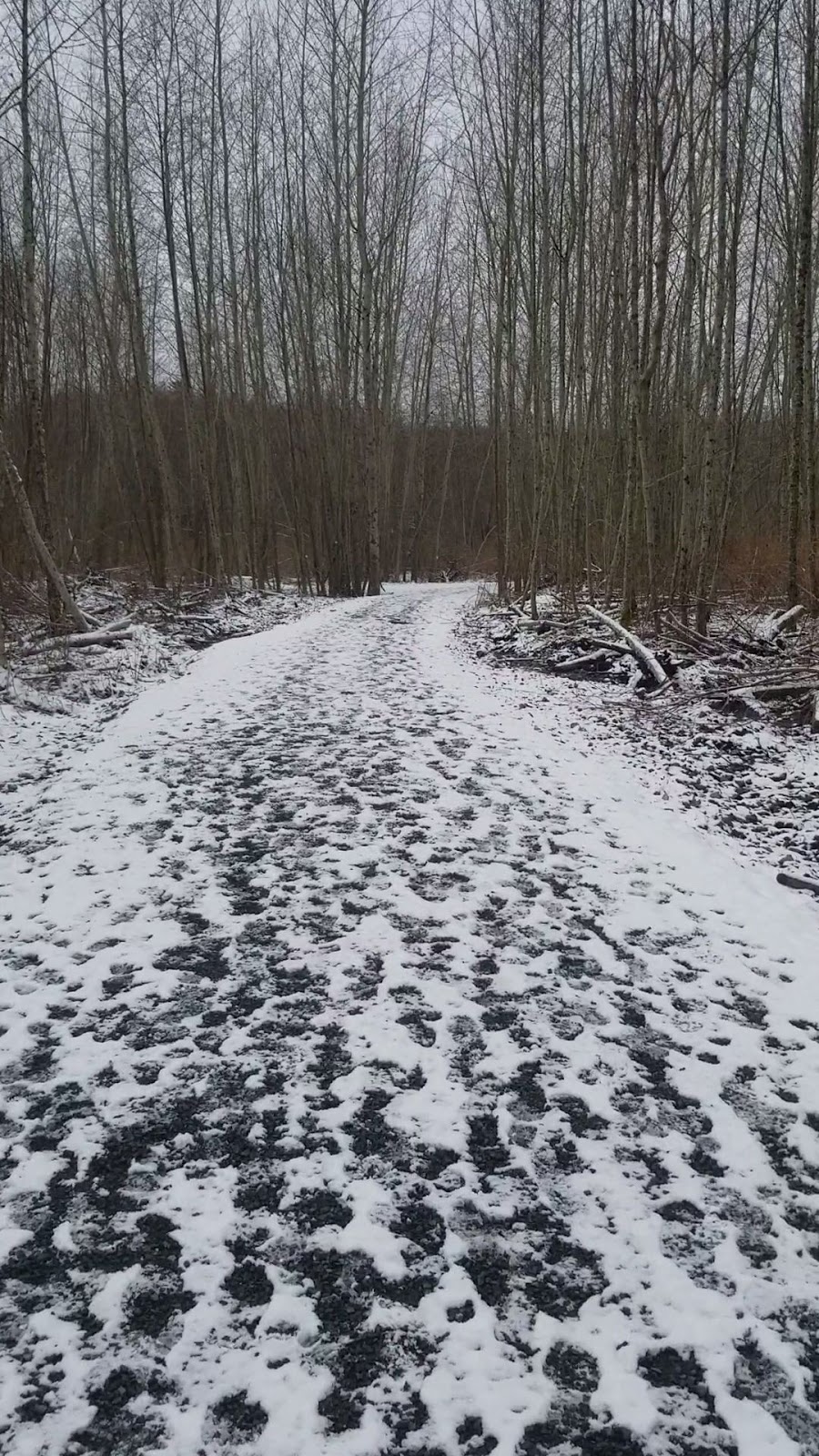 Parksville Wetlands Trail | Parksville, BC V9P 2V7, Canada | Phone: (250) 248-6144