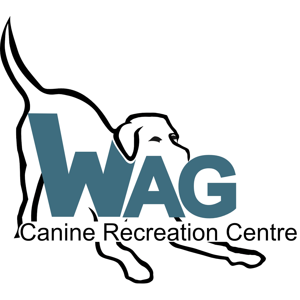 Wag Canine Recreation Centre | 10 Lawrence St, Amherst, NS B4H 3G5, Canada | Phone: (902) 660-9244