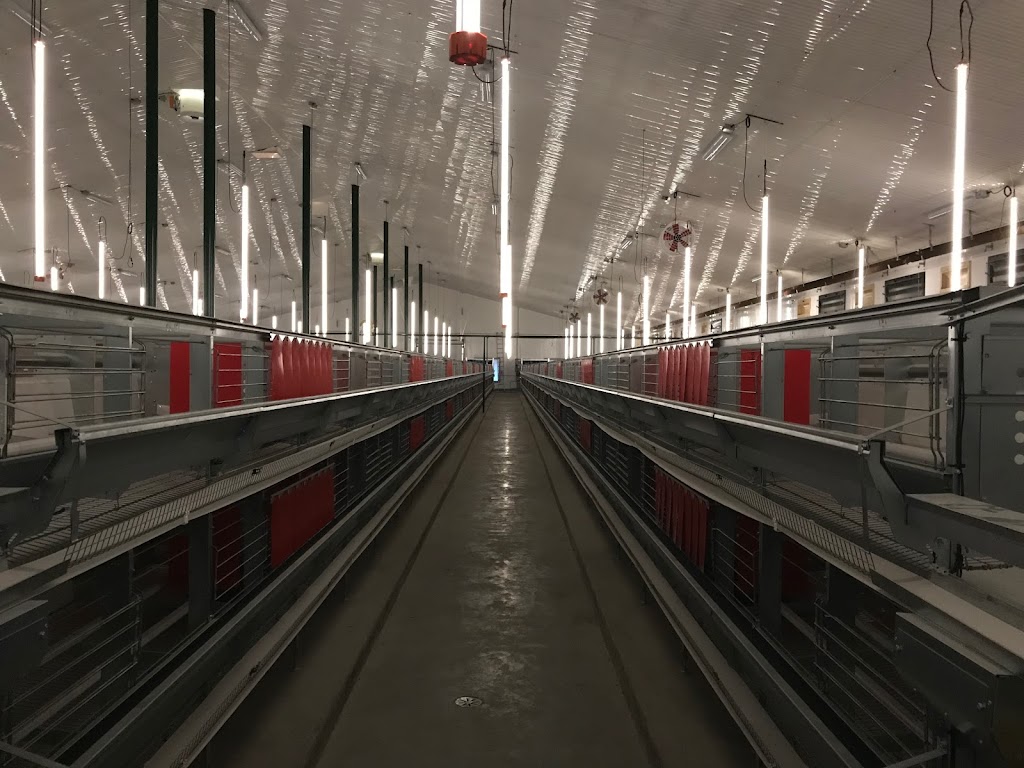 Live Electric Inc. | 1319 20th St, Coaldale, AB T1M 1M8, Canada | Phone: (403) 345-5489