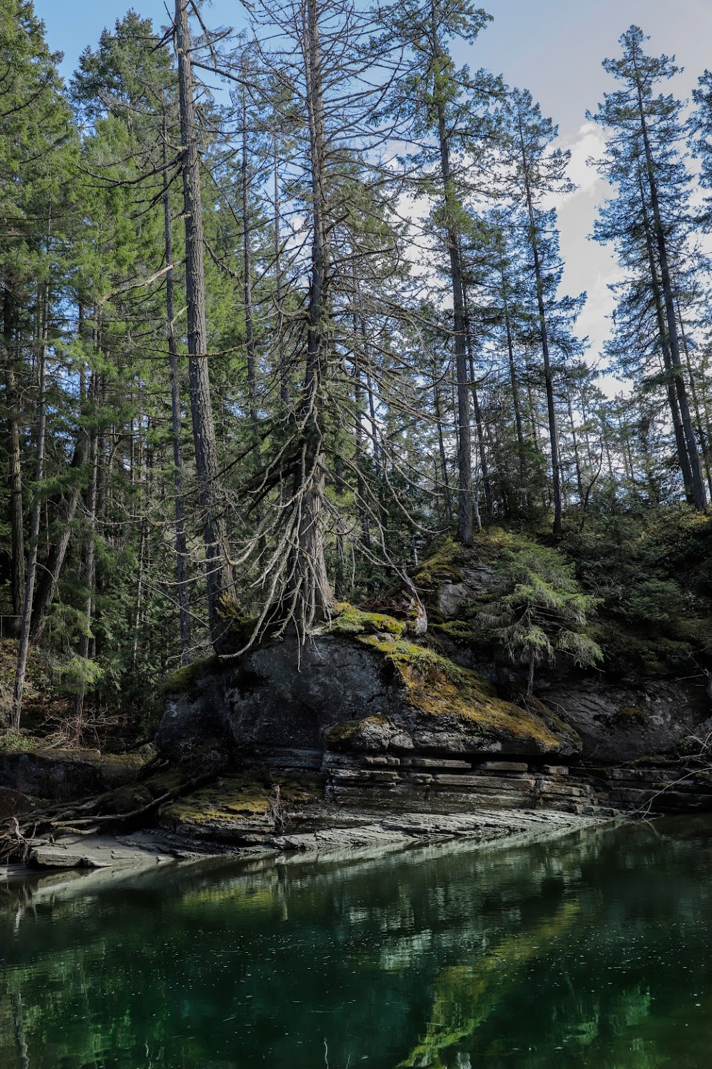 Englishman River Regional Park. / Top Bridge Park,(trail head) | 249 Allsbrook Rd, Parksville, BC V9P 2A8, Canada | Phone: (250) 248-3252