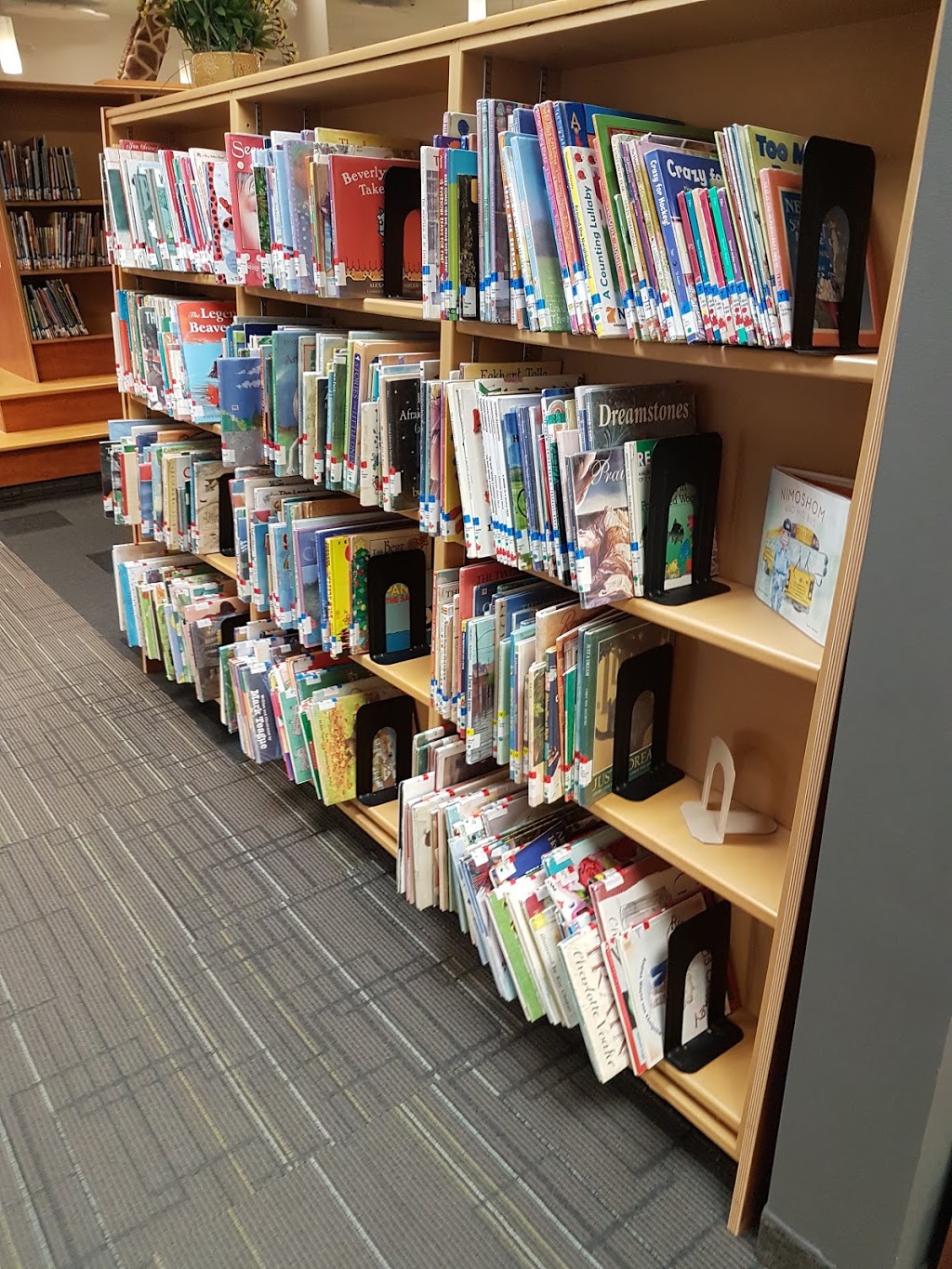 Jake Epp Public Library | 255 Elmdale St, Steinbach, MB R5G 0C9, Canada | Phone: (204) 326-6841