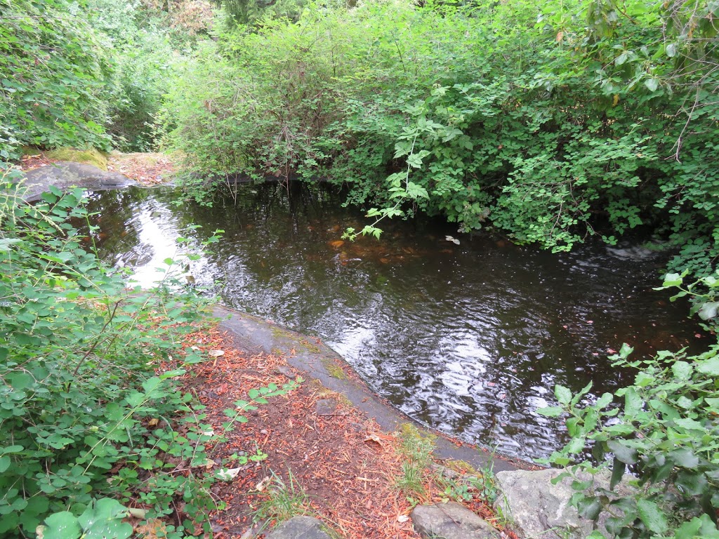 Oak Bay Native Plant Garden | 1178 Beach Dr, Victoria, BC V8S 3A8, Canada | Phone: (250) 592-7275