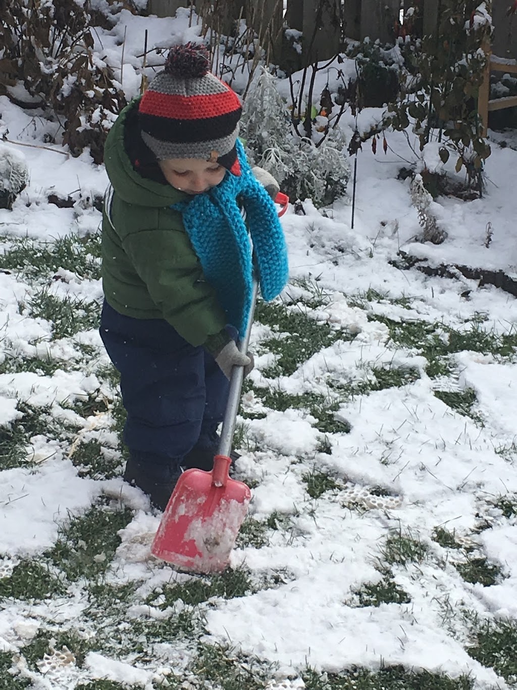 Better Than Home Daycare Agency | 922 Joe Persechini Dr, Newmarket, ON L3X 2Y8, Canada | Phone: (416) 831-1217