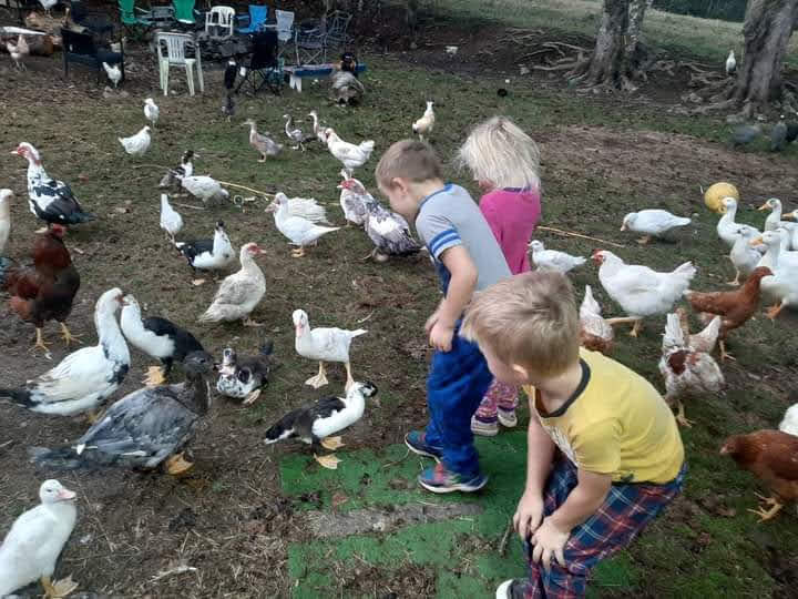 Mckeen Mingarry Farm | 7570 NS-348, Sherbrooke, NS B0J 3C0, Canada | Phone: (902) 318-5711