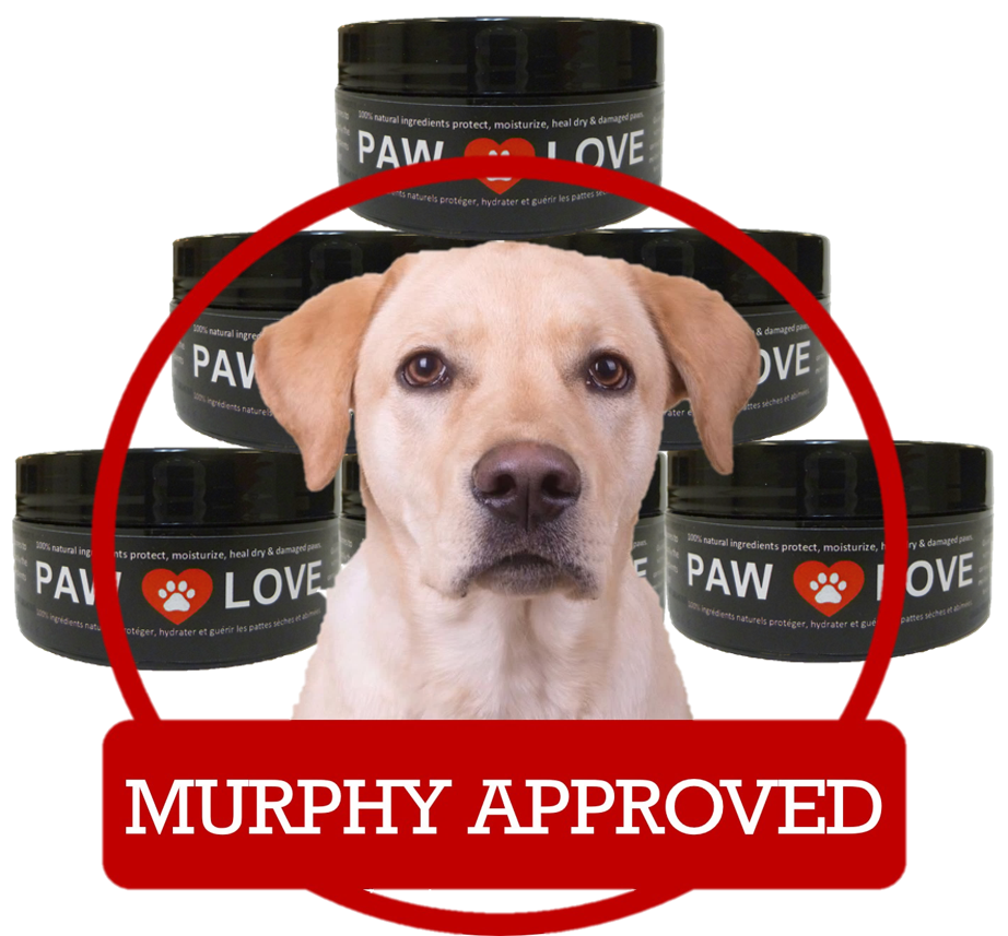 Paw Love | 1 First St suite 220, Collingwood, ON L9Y 1A1, Canada | Phone: (800) 295-8561