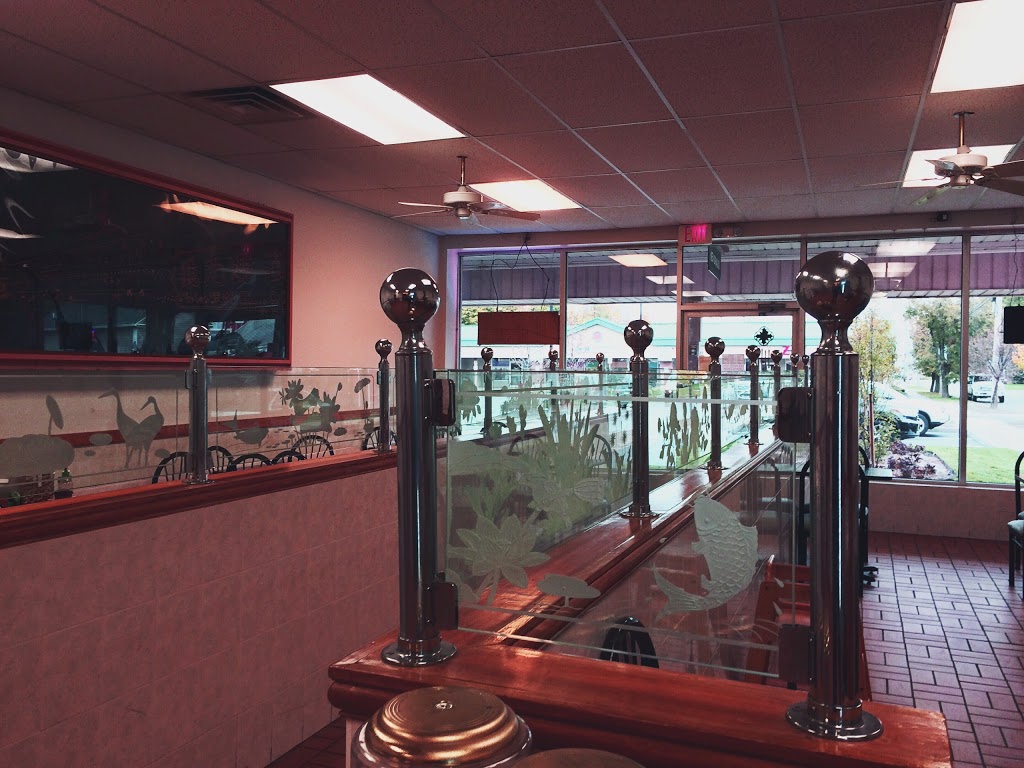 New Dragon | 140 Pine St, Hamburg, NY 14075, USA | Phone: (716) 312-0910