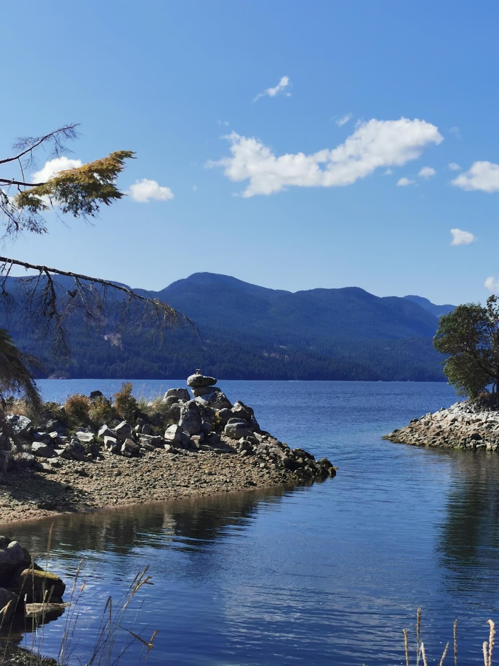 Tillicum Bay Marina Inc | 5794 Naylor Rd, Sechelt, BC V7Z 0C7, Canada | Phone: (604) 885-2100