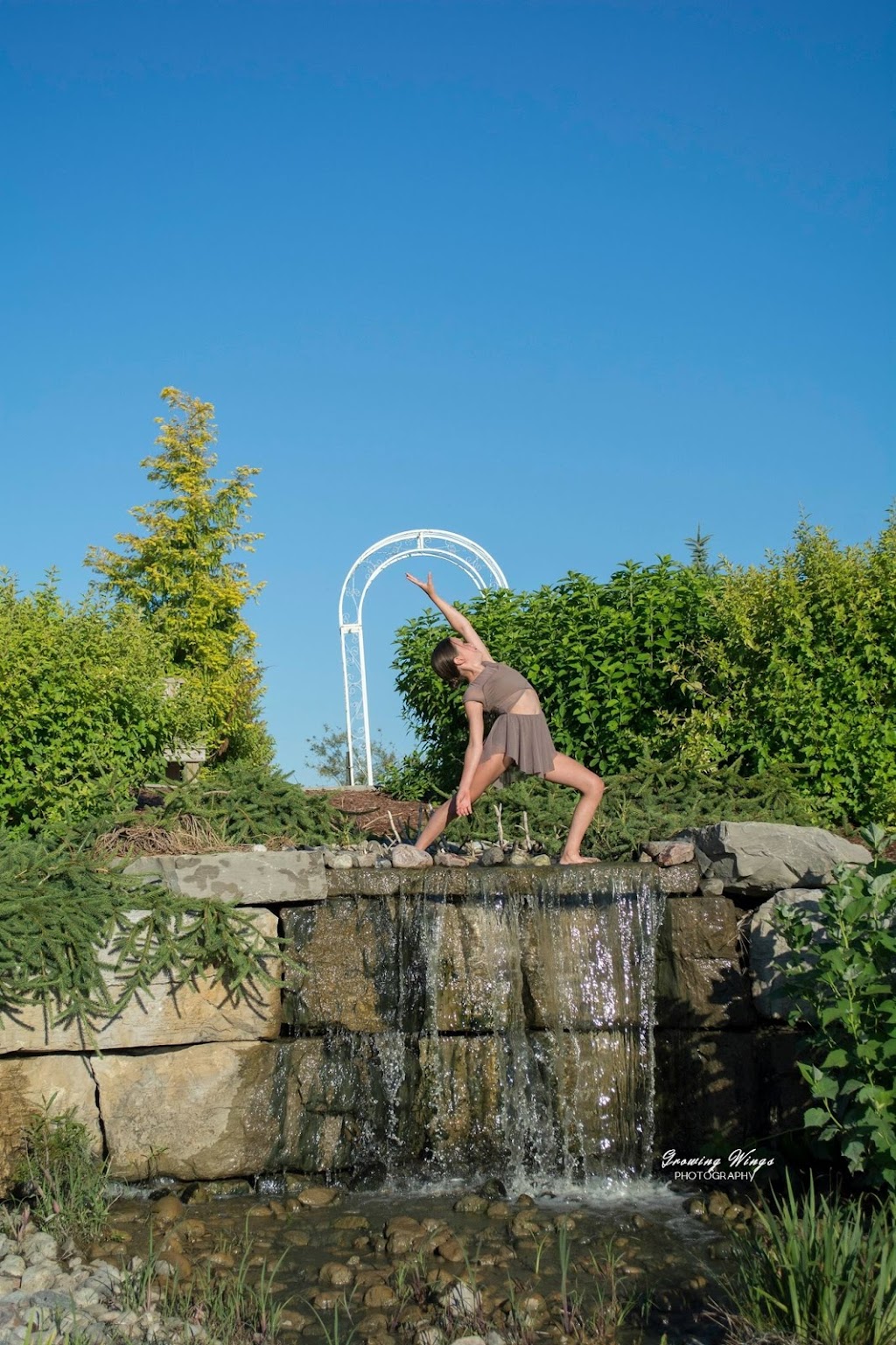 Growing Wings Photography | 164 Templeton Crescent, Courtright, ON N0N 1H0, Canada | Phone: (519) 312-5851