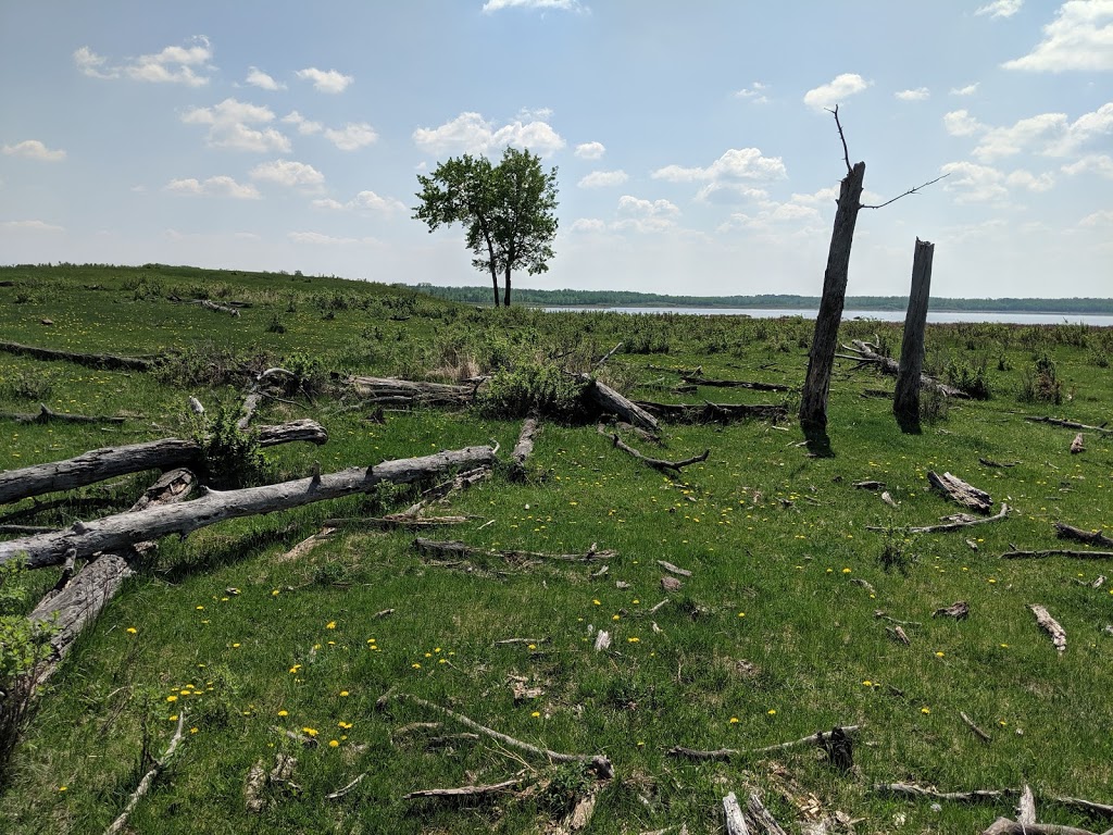 Tawayik Lake Trail | Tawayik Lake Access Rd, Ardrossan, AB T8G 2A6, Canada | Phone: (877) 737-3783