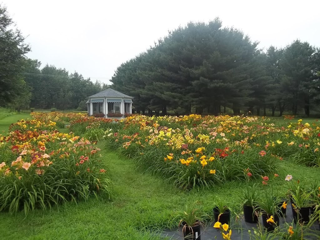 Jardin des Nuances | 441 Rang N, Sainte-Victoire-de-Sorel, QC J0G 1T0, Canada | Phone: (450) 494-3955