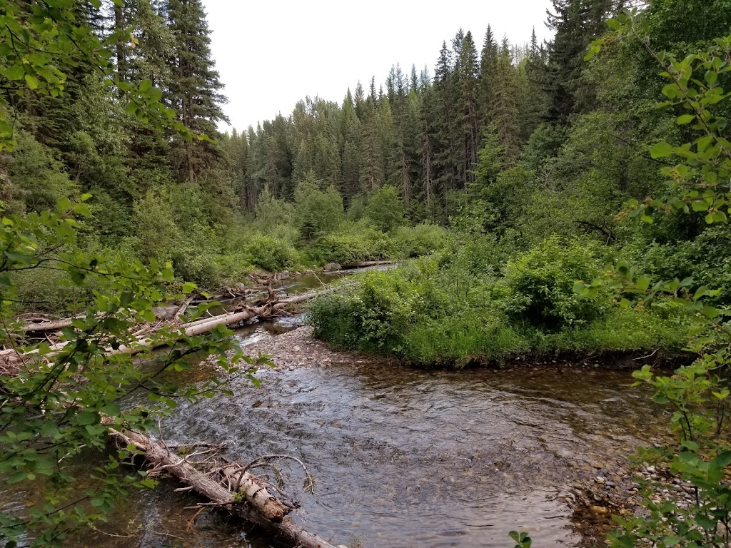 Mount Fernie Provincial Campground | 1M0, Mt Fernie Park Rd, Fernie, BC V0B 1M6, Canada | Phone: (250) 422-3003