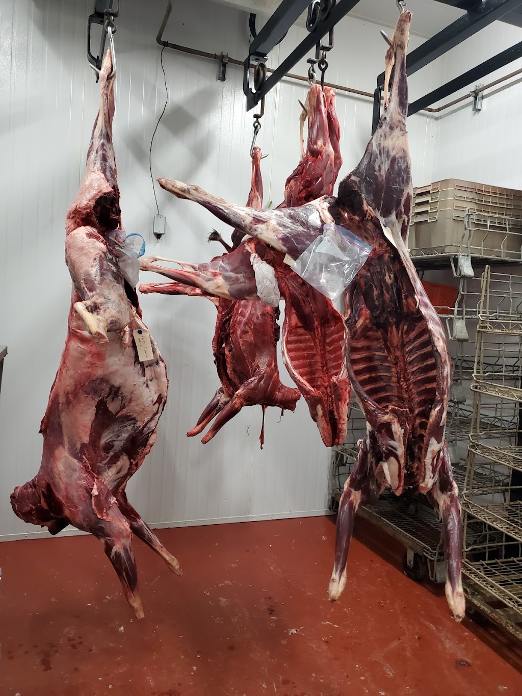 Iron Butcher Custom Inc. | 17935 Ford Detour Rd, Pitt Meadows, BC V3Y 0A7, Canada | Phone: (604) 460-6411