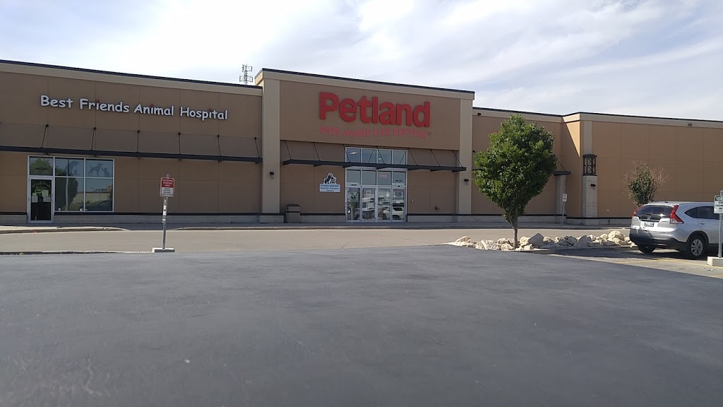 Petland | 2355 McGillivray Blvd #100A, Winnipeg, MB R3Y 0A1, Canada | Phone: (204) 489-2009