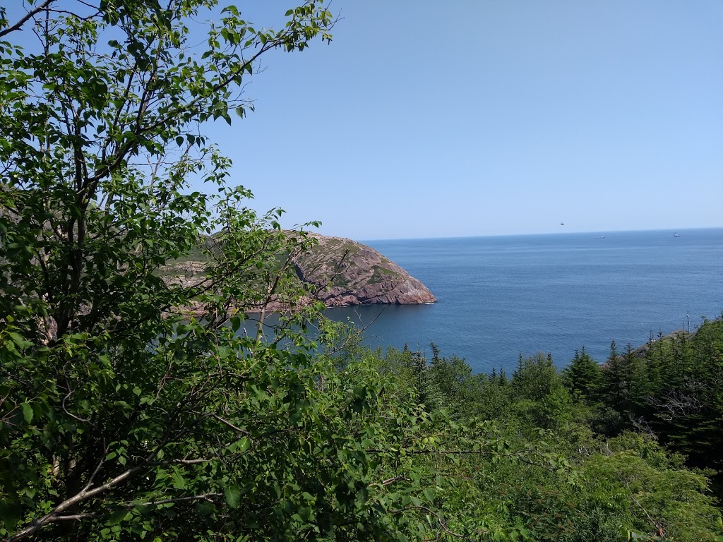 East Coast Trail Near Fort Amherst | Deadmans Bay Path, St. Johns, NL A1C 5H2, Canada