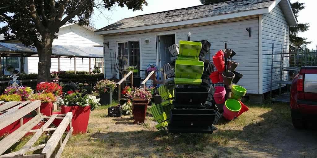 Scottys Coolbreeze | 9912 County Rd 42, Westport, ON K0G 1X0, Canada | Phone: (613) 273-7268