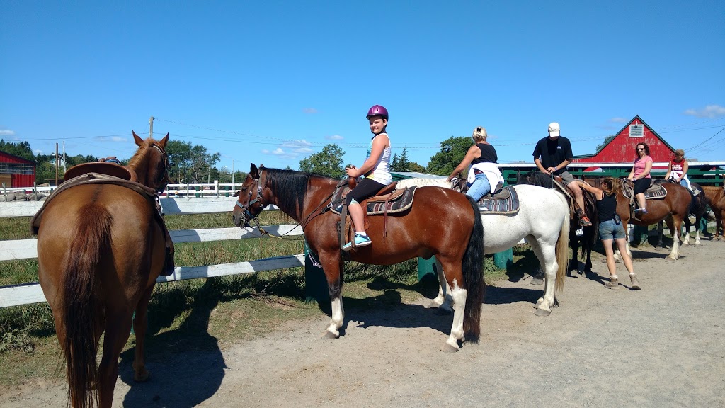 Hatfield Farm | 1840 Hammonds Plains Rd, Hammonds Plains, NS B4B 1P4, Canada | Phone: (902) 835-5676