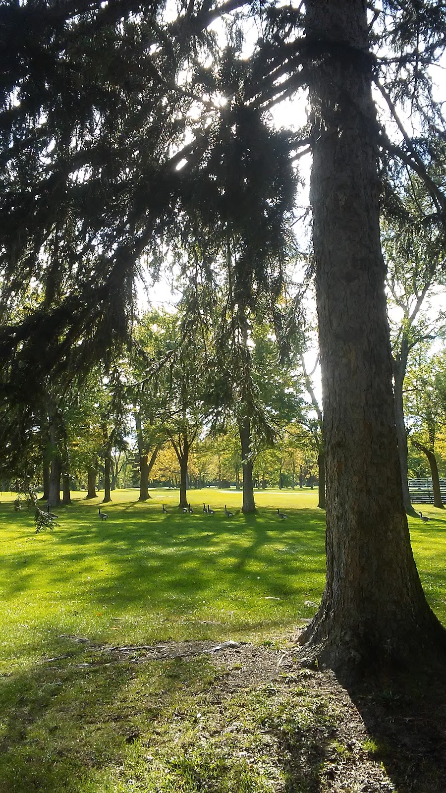 Ellicott Creek Park | 1 Ellicott Creek Drive, Tonawanda, NY 14150, USA | Phone: (716) 693-2971