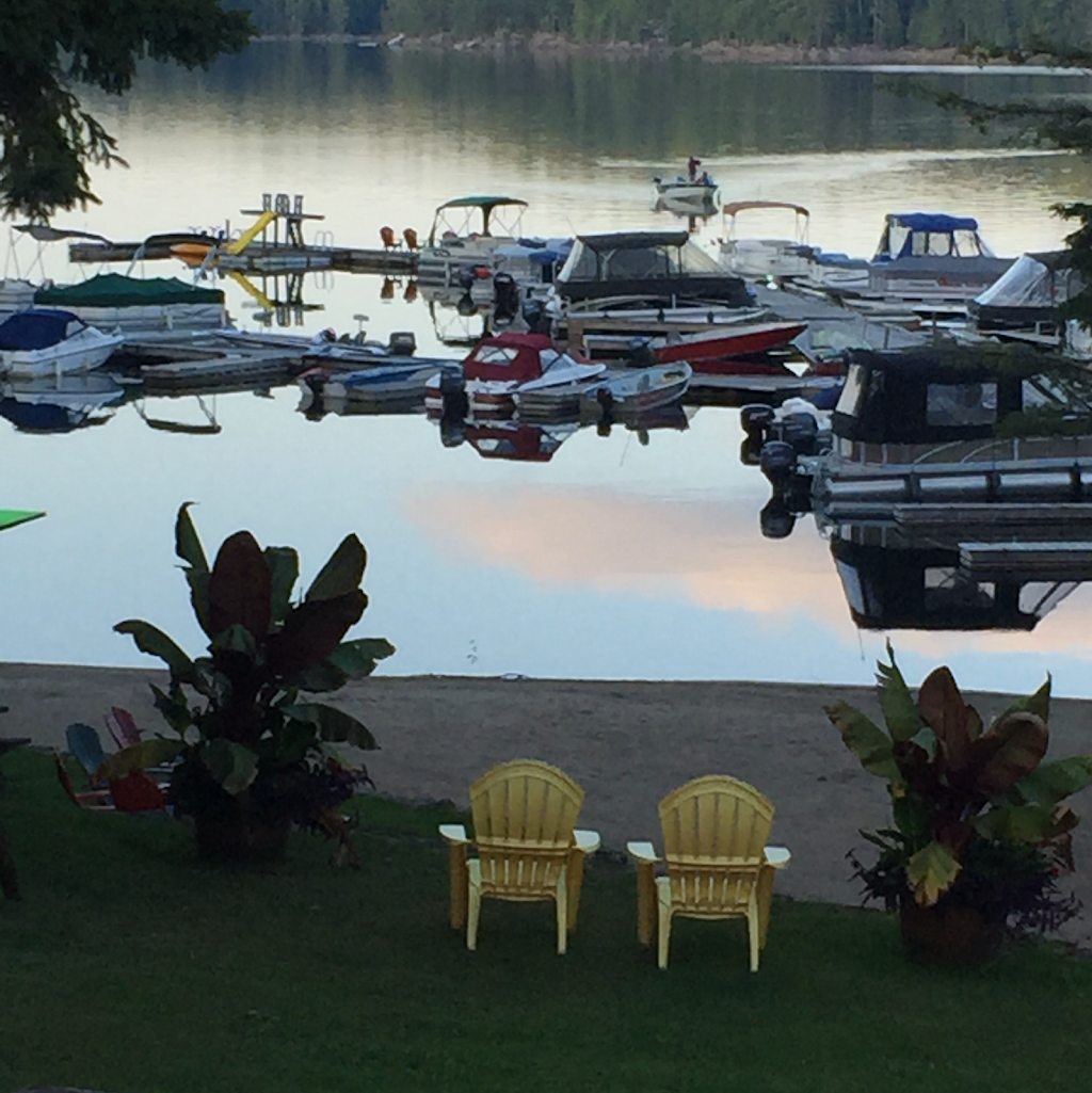 Little Hawk Resort & Marina | 2049 Little Hawk Lake Rd, Algonquin Highlands, ON K0M 1J2, Canada | Phone: (705) 489-2158