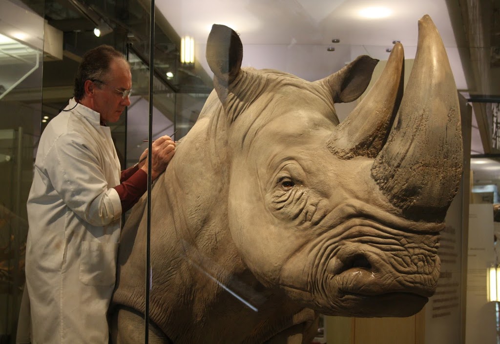 Pine-Ridge Taxidermy | 6432 45, Baltimore, ON K0K 1C0, Canada | Phone: (905) 349-2626