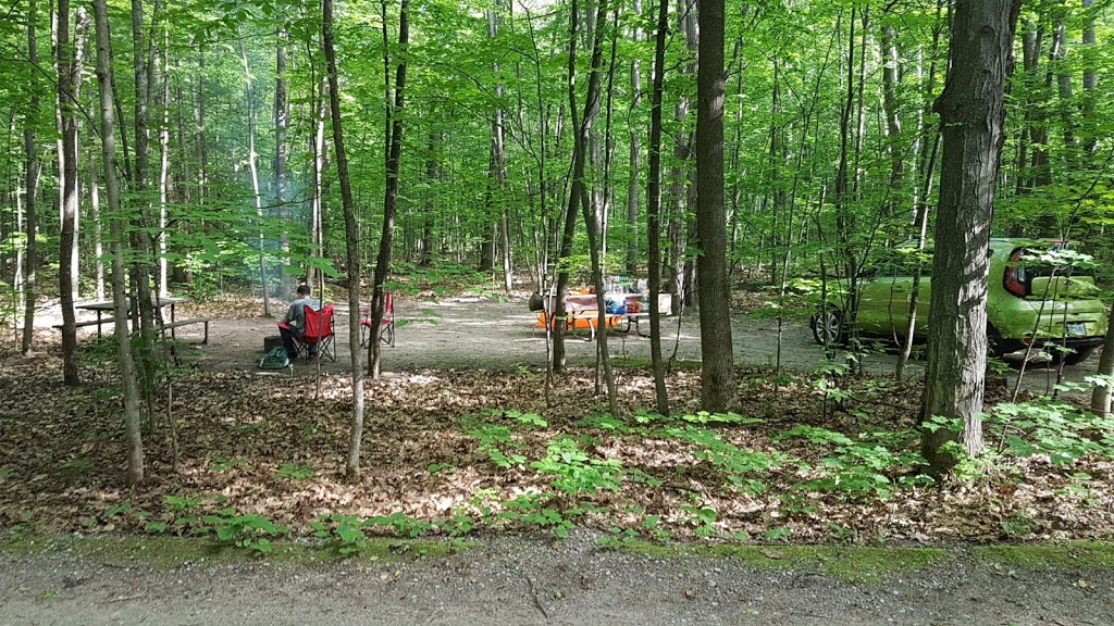 Turtle Campground | Tiny, ON L9M 1R2, Canada | Phone: (705) 549-2231