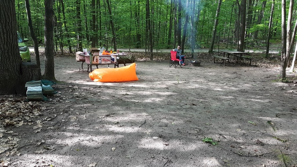 Turtle Campground | Tiny, ON L9M 1R2, Canada | Phone: (705) 549-2231