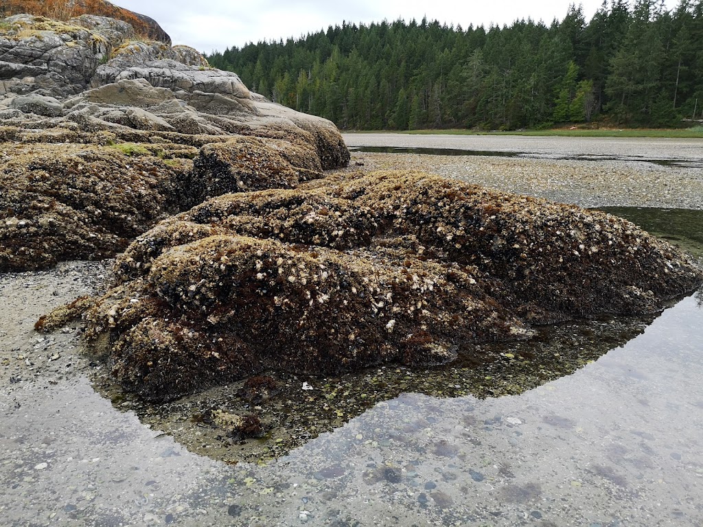 Mansons Landing Provincial Park | Mansons Landing, BC V0P 1K0, Canada | Phone: (250) 474-1336