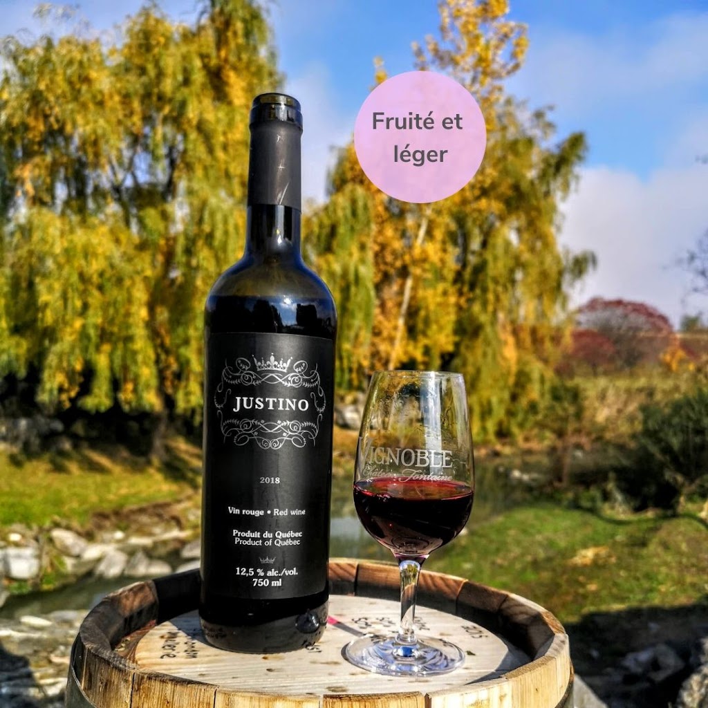 Vignoble Château Fontaine | 4900 Rue Martineau, Saint-Hyacinthe, QC J2S 7B8, Canada | Phone: (450) 799-4454