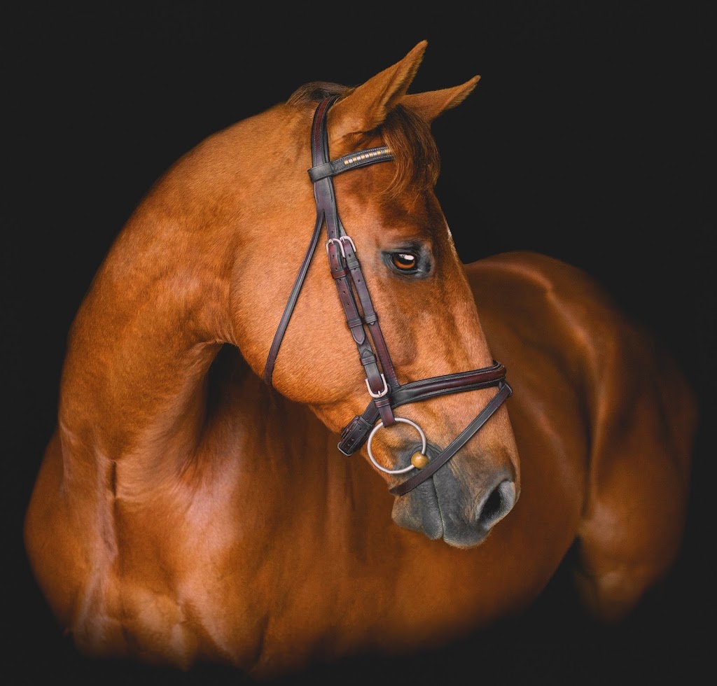 The Yeg Equestrian | 13007 208 St NW, Edmonton, AB T5V 1T8, Canada | Phone: (780) 863-5599