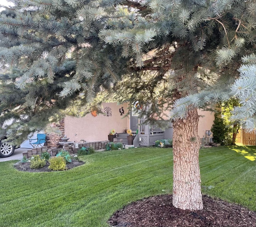 TMS Yard Care | 20 Cimarron Crescent, Okotoks, AB T1S 1S8, Canada | Phone: (403) 828-0286