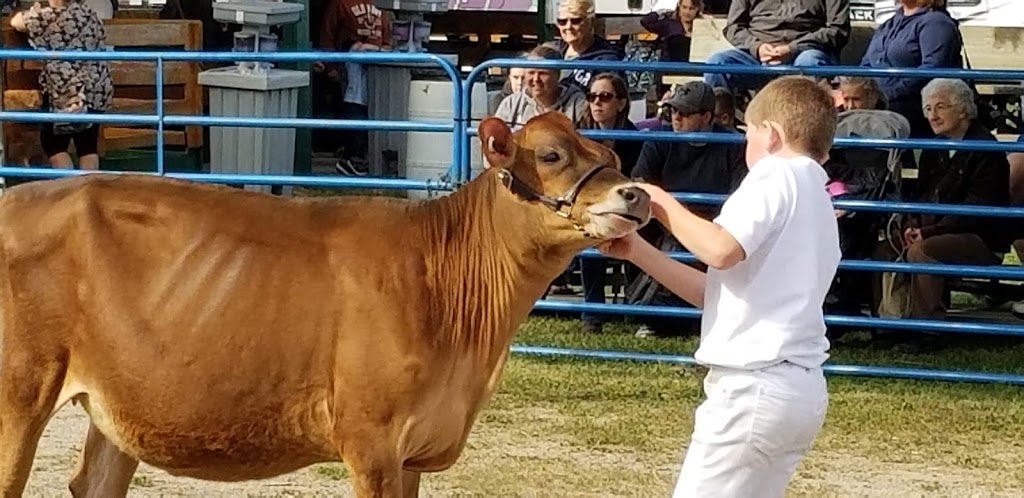 Forest Agricultural Society | 45 Jefferson St W, Forest, ON N0N 1J0, Canada | Phone: (519) 786-6520