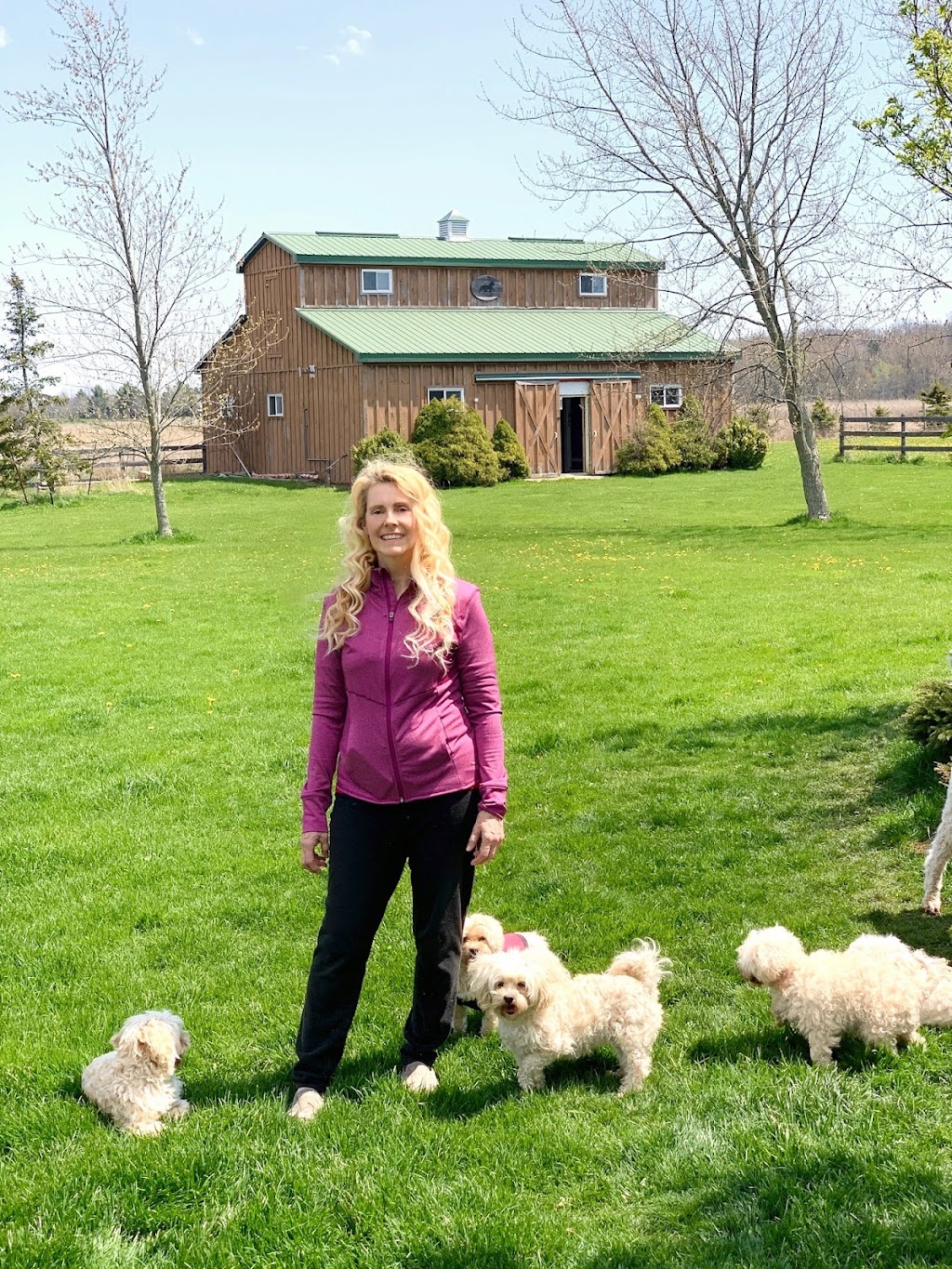 Two Willows Senior Dog Sanctuary | 259 Farr St, Fenwick, ON L0S 1C0, Canada | Phone: (647) 228-8645