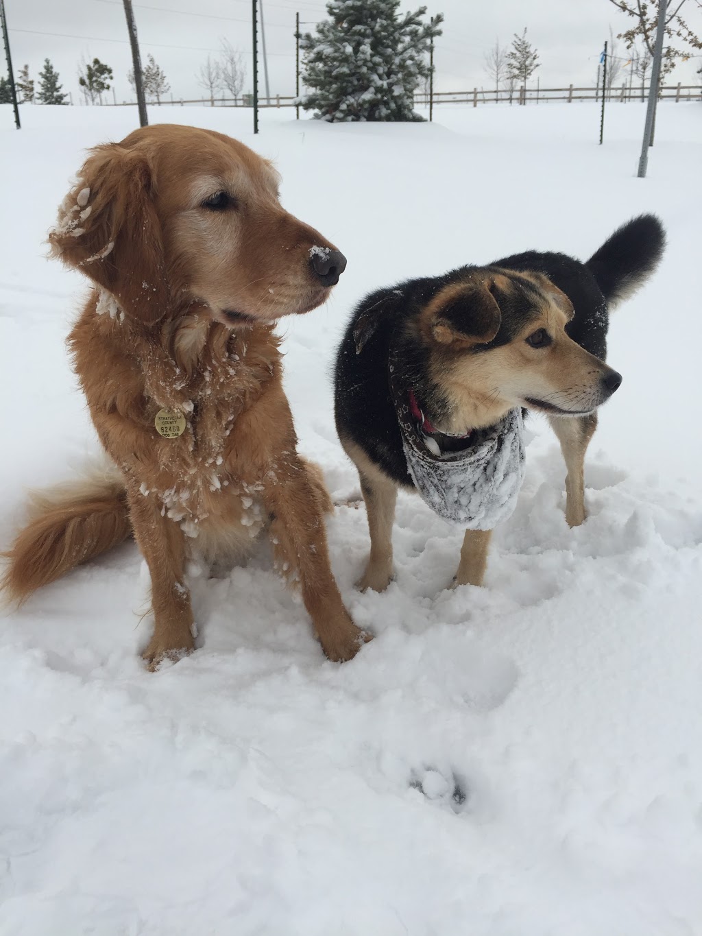 Sally Stewart Park | Buckingham Business Park, Sherwood Park, AB T8H 2C5, Canada