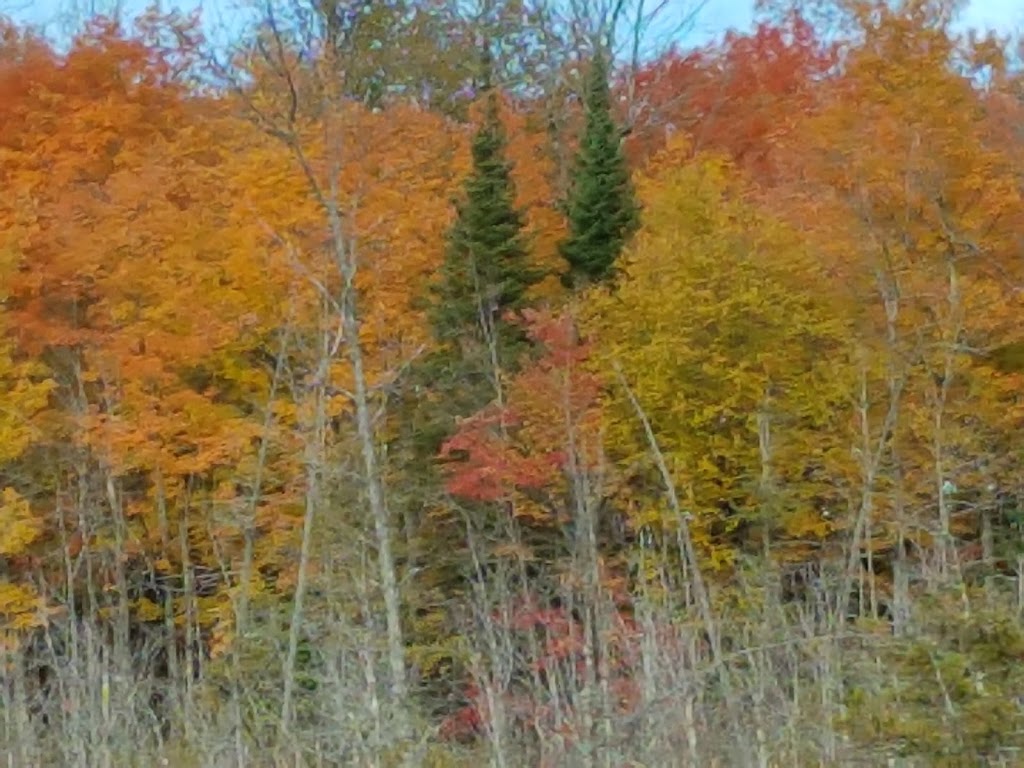 Herns Sand & Gravel | 22358 Highway # 7, Maberly, ON K0H 2B0, Canada | Phone: (613) 268-2059