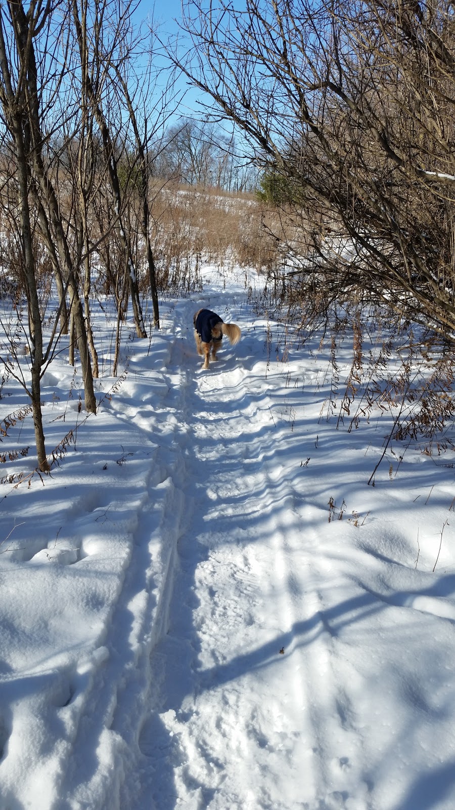 Moraine Park | 4K7, Oak Ridges Trail, Richmond Hill, ON L4E 4K7, Canada