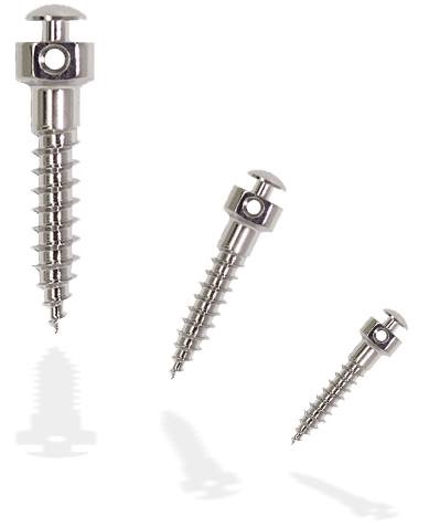 Tusk Denta | 35 Bloom Dr, Brampton, ON L6P 3C3, Canada | Phone: (647) 449-9644