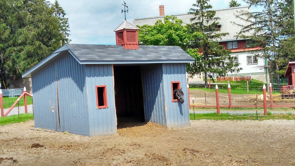 Horse and Cattle Barn | Ottawa, ON K2C, Canada | Phone: (613) 991-3044