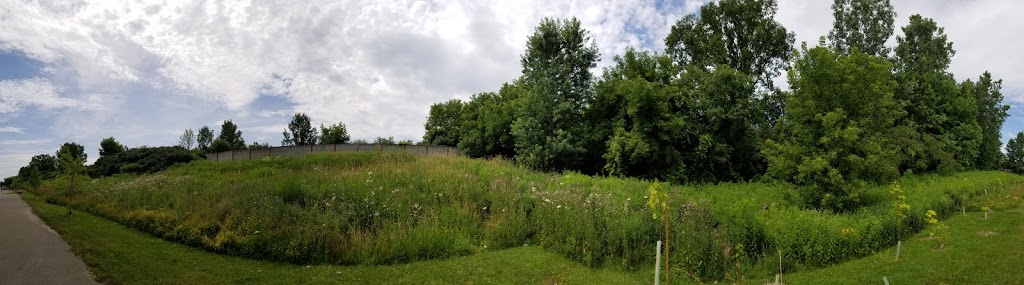 Talltree Park - West | Argyle, London, ON N5V 4V4, Canada | Phone: (519) 661-2489