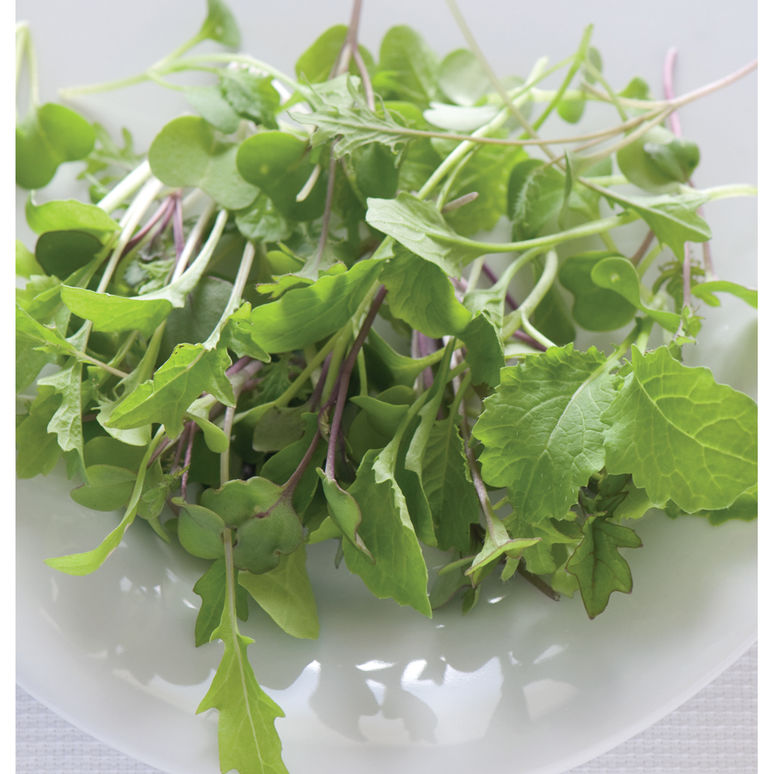 Perks Microgreens | 5872 Sycamore St, Duncan, BC V9L 3E4, Canada | Phone: (250) 216-2877